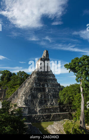 Tempel I oder Tempel der Großen Jaguar, Nationalpark Tikal, Guatemala. Ein UNESCO Weltkulturerbe. Stockfoto