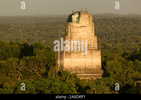 Blick bei Sonnenuntergang der Tempel III Tempel IV in der Maya archäologische Stätte der Nationalpark Tikal, Guatemala, mit Gerüst für die Stabilisierung der Arbeit. Stockfoto