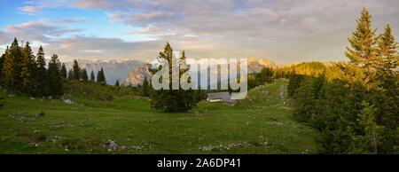 Am frühen Morgen an Kohler Alm in der Nähe von Inzell, Bayern, Deutschland Stockfoto