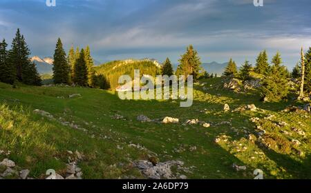 Am frühen Morgen an Kohler Alm in der Nähe von Inzell, Bayern, Deutschland Stockfoto