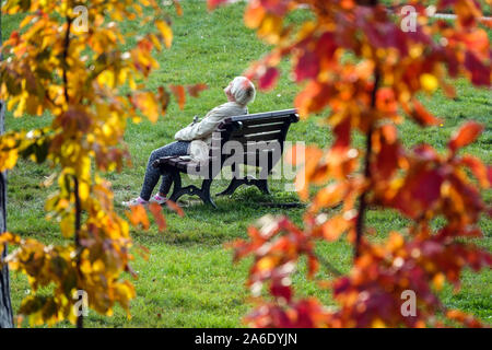 Ältere Frau genießt Herbst im Stadtpark, Herbstgartenbank Herbstfarben Damenbank allein Stockfoto