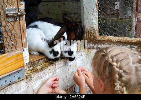 Kinder Füttern von Kaninchen in einen Käfig. Stockfoto