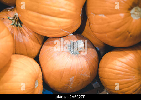 Tigard, Oregon - 25.Oktober 2019: Herbst Kürbisse zum Verkauf an Costco Wholesale store Stockfoto