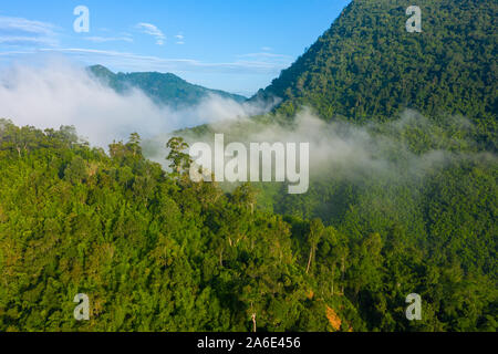 Luftaufnahme von tropischen Regenwald. Norden Laos. Südostasien. Foto von drohne von oben. Blick aus der Vogelperspektive. Stockfoto