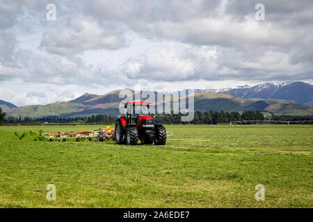 Sheffield, Canterbury, Neuseeland, 25. Oktober 2019: ein Unternehmer rechen Silage bereit auf einem großen Bauernhof in der Canterbury Ausläufern auf dem Ballen gepresst werden. Stockfoto