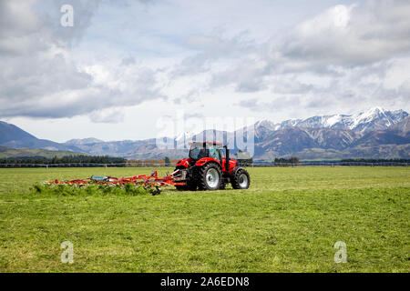Sheffield, Canterbury, Neuseeland, 25. Oktober 2019: ein Unternehmer rechen Silage bereit auf einem großen Bauernhof in der Canterbury Ausläufern auf dem Ballen gepresst werden. Stockfoto