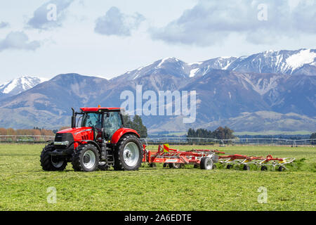 Sheffield, Canterbury, Neuseeland, 25. Oktober 2019: ein Unternehmer rechen Silage bereit auf einem großen Bauernhof in der Canterbury Ausläufern auf dem Ballen gepresst werden. Stockfoto