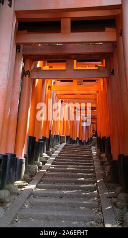 Fushimi Inari rote Torii Stockfoto