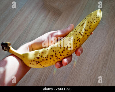 Eine reife Banane in der Hand mit Holz- Hintergrund. Stockfoto