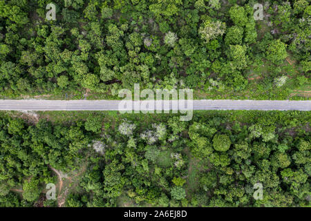 Ansicht von oben Landschaft von geraden Asphalt im tropischen Regenwald. Stockfoto