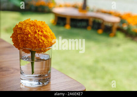 Ringelblume Blume in einem kleinen Glas auf einen hölzernen Tisch in einem Cafe. Natürliche Hintergrund. Mit dem Raum. Stockfoto