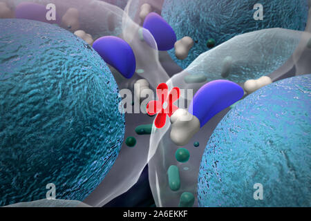 Insulin in die Zelle, hochwertige 3D-Render der Zellen, der Bereich der Zellen Stockfoto