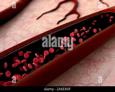 Arterie mit einem abgetrennten Bereichs, hochwertige Rendering mit original Texturen und Global Illumination gezeigt Stockfoto