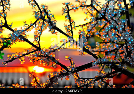 Sonne hinter den beleuchteten Baum Garten in Blackpool Illuminations Stockfoto