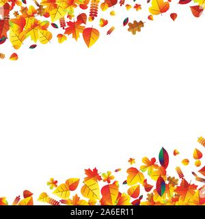 Blätter im Herbst zerstreut Hintergrund. Eiche, Ahorn und Rowan Stock Vektor