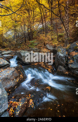 Herbst in Central Balkan National Park in Bulgarien Stockfoto