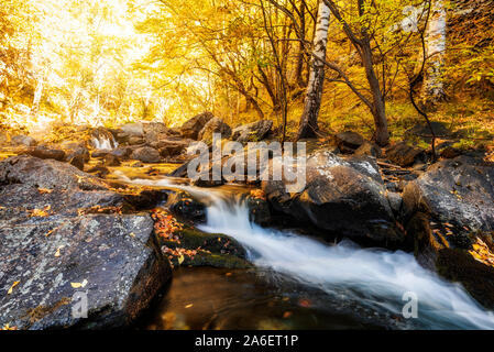Herbst in Central Balkan National Park in Bulgarien Stockfoto