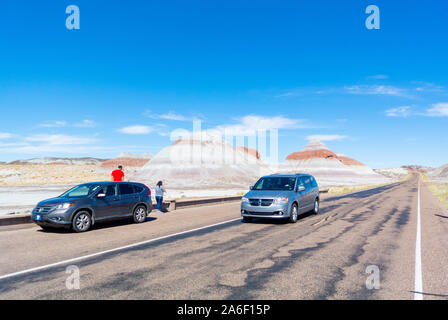 Landschaft Petrified Forest National Park, Arizona, USA, Vereinigte Staaten von Amerika Stockfoto