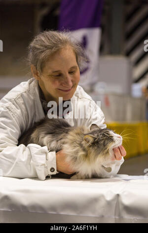 Birmingham, Großbritannien. 26. Oktober 2019. Hunderte von Katzen und ihre Besitzer steigen auf der NEC für die Oberste Katze zeigen. Stockfoto