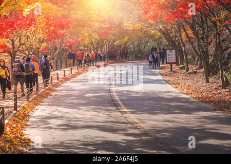 JEOLLABUK-DO, KOREA - November 10, 2014: Korea im Herbst und Ahornblätter, naejangsan Nationalpark im Herbst, Südkorea am 10. November 201 Stockfoto