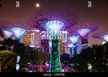 Singapur, Singapur - März 2019: Supertrees für Light Show in Gärten durch die Bucht leuchtet Stockfoto