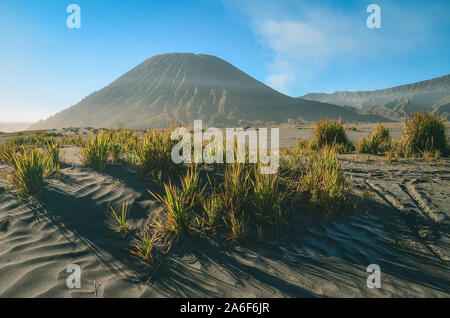 Landschaft Blick auf den Mount Batok, auf dem Bromo Tengger Semeru National Park, Ost Java, Indonesien Stockfoto