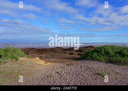 Blick auf den Chapman River Regional Park am Indischen Ozean in Geraldton, Western Australia Stockfoto