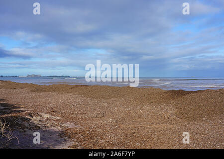 Blick auf den Chapman River Regional Park am Indischen Ozean in Geraldton, Western Australia Stockfoto