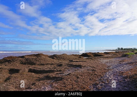 Blick auf den Chapman River Regional Park am Indischen Ozean in Geraldton, Western Australia Stockfoto