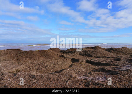 Blick auf den Chapman River Regional Park am Indischen Ozean in Geraldton, Western Australia Stockfoto