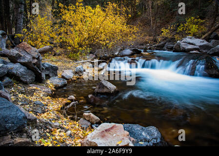 Cascading stream Kurse hinunter in die Schlucht mit der letzten goldenen Laub entlang der Bank, erstellen eine ätherische Stimmung. Stockfoto