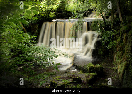 Wasserfall im tiefen Wald reeth Yorkshire Dales Stockfoto