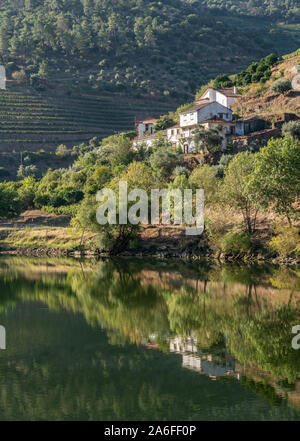 Weiß getünchtes alte Quinta oder Weinberg Gebäude am Ufer des Flusses Douro in Portugal in der Nähe von Noain Stockfoto