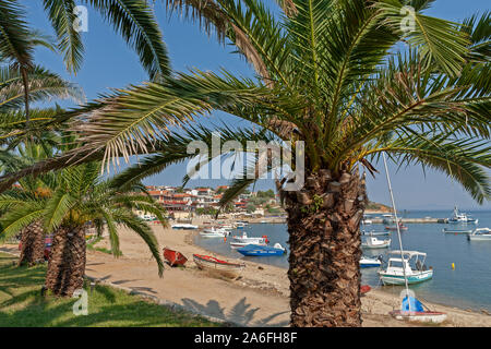 Palmen und Boote im Hafen von Nea Fokea auf der Halbinsel Kassandra in Chalcidice, Zentralmakedonien, Griechenland. Stockfoto