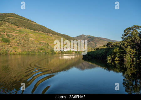 Weiß getünchtes alte Quinta oder Weinberg Gebäude am Ufer des Flusses Douro in Portugal in der Nähe von Noain Stockfoto