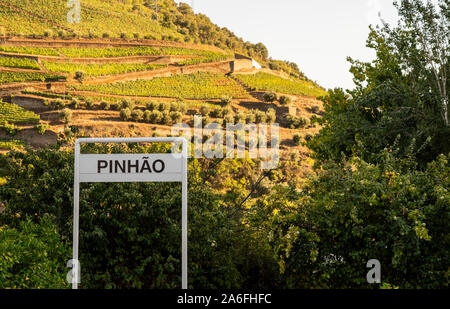 Terrassen der Weinreben für Portwein Produktionslinie die Hänge des Douro Tal von Pinhao Bahnhof Stockfoto