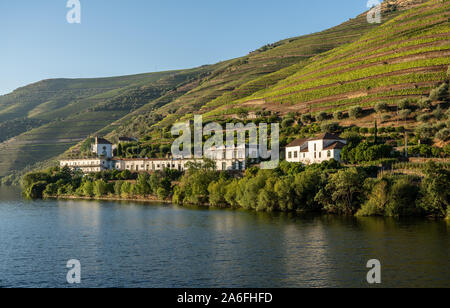 Weiß getünchtes alte Quinta oder Weinberg Gebäude am Ufer des Flusses Douro in Portugal in der Nähe von Noain Stockfoto