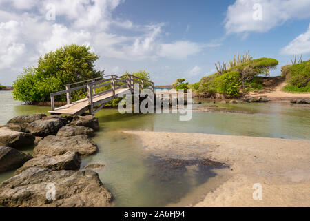 Savanne von Versteinerungen in Martinique Stockfoto