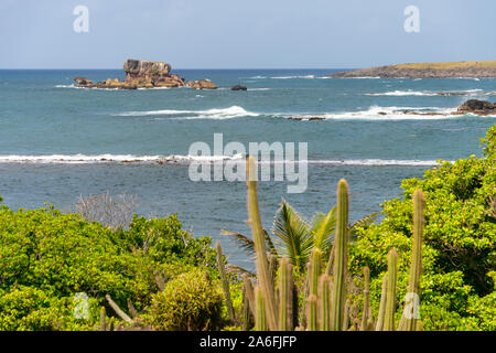 Tabelle du Diable (Devil's Tabelle) in der Savanne von Versteinerungen in Martinique Stockfoto