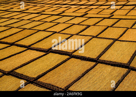 Sumedang, Indonesien. 25 Feb, 2019. Tabak wird in der Sonne getrocknet. Banyuresmi Dorf, Tabak Sumedang Regency ist ein Dorf, das bekannt ist für die Herstellung von trockenen Tabak, innerhalb von 40 Tagen das Dorf rund um 1,7 Tonnen von 'mOle' Tabak, der in verschiedene Regionen in West Java ausgeliefert wird und sogar ins Ausland exportiert produzieren können. Credit: Instrumatic Febri Sugita/SOPA Images/ZUMA Draht/Alamy leben Nachrichten Stockfoto