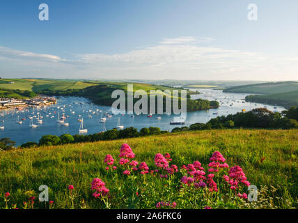 Salcombe Harbour und die kingsbridge Mündung bei Sonnenaufgang, Devon, England Stockfoto