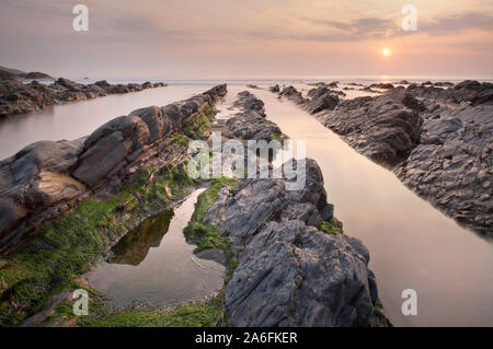 Welcombe Mund, Bideford, Devon, England, Großbritannien Stockfoto