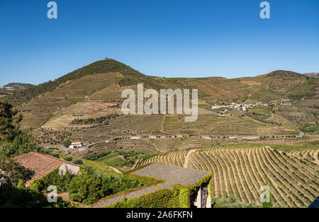 Terrassen der Weinreben für Portwein Produktionslinie die Hänge des Douro Valley in der Nähe von Pinhao in Portugal Stockfoto