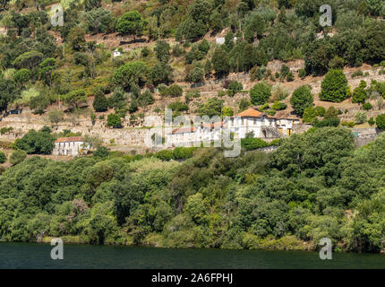 Weiß getünchtes alte Quinta oder Weinberg Gebäude am Ufer des Flusses Douro in Portugal Stockfoto