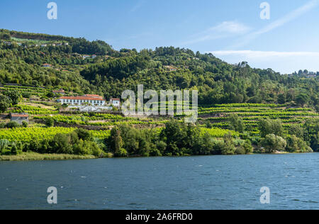 Weiß getünchtes alte Quinta oder Weinberg Gebäude am Ufer des Flusses Douro in Portugal Stockfoto