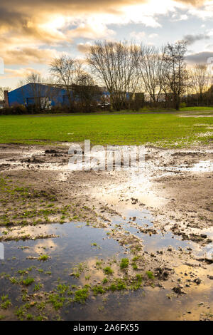 Einem überschwemmten Feld in der Schule, schlechte Entwässerung, nasses Gras und Sportplatz Stockfoto