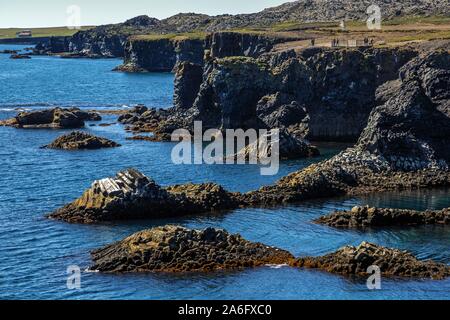 Steilküste, Basalt Küste, Arnarstapi, Snaefellsness Halbinsel, Island Stockfoto