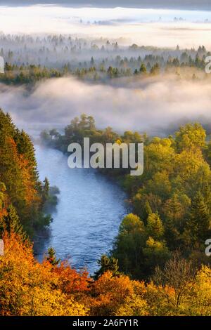 Loisach Mündung in die Isar, Pupplinger Au bei Sonnenaufgang, Naturschutzgebiet Isarauen, zwischen Icking und Wolfratshausen, Oberbayern, Bayern, Deutschland Stockfoto