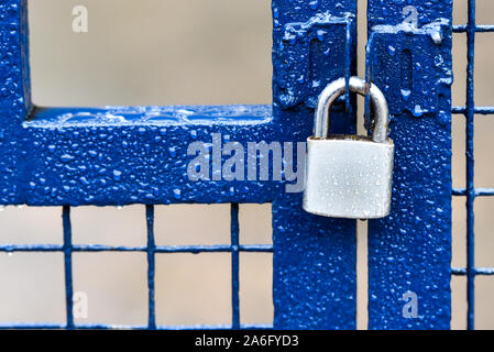 Ein blau metallic Zaun mit einem silbernen Edelstahl Vorhängeschloss, Sicherheit Tor getränkt mit Regen Stockfoto