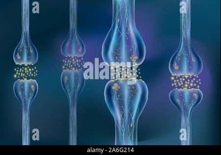 Signalisierung im Gehirn. Neuronalen Verbindungen im Gehirn form Gedanken, Konzept lernen. Übertragung der Impulse in einem lebenden Organismus. Synapse Stock Vektor